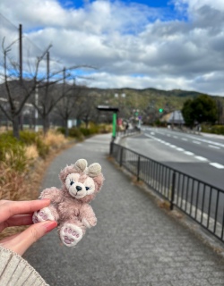 �����܂��Ă��߂łƂ��������܂�