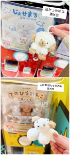 �K�`���̂�񂿂��