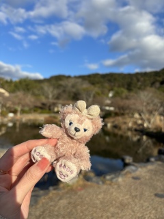 �o�|������