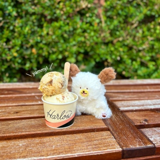 �ʂ������