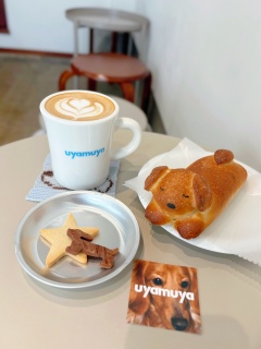 uyamuya����