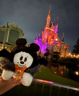 �K����Q